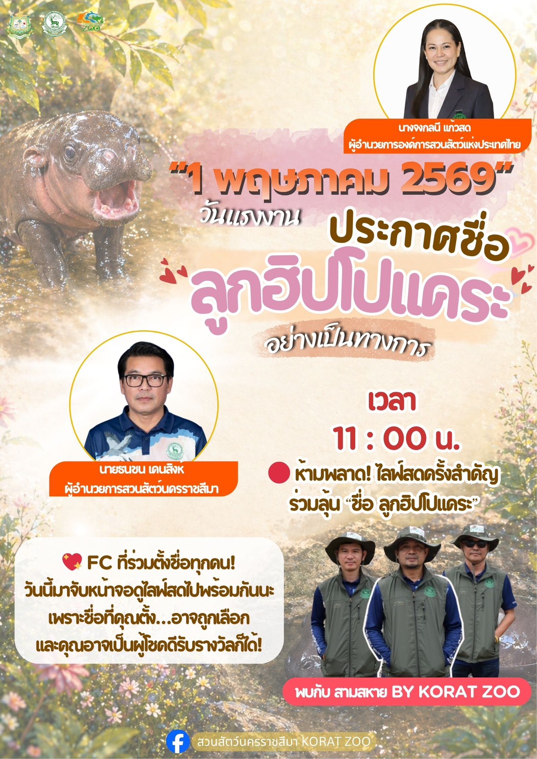 Pygmy Hippo Naming Live Event